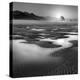 Path-Moises Levy-Premier Image Canvas