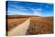 Pathway into the Prairie-tomofbluesprings-Premier Image Canvas