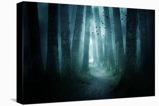 Pathway through A Dark Forest-solarseven-Premier Image Canvas