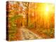 Pathway through the Autumn Forest-sborisov-Premier Image Canvas