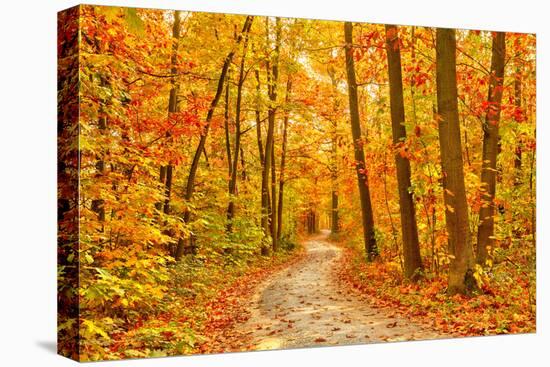 Pathway through the Autumn Forest-sborisov-Premier Image Canvas