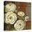 Patina Ranunculus-Pamela Gladding-Stretched Canvas