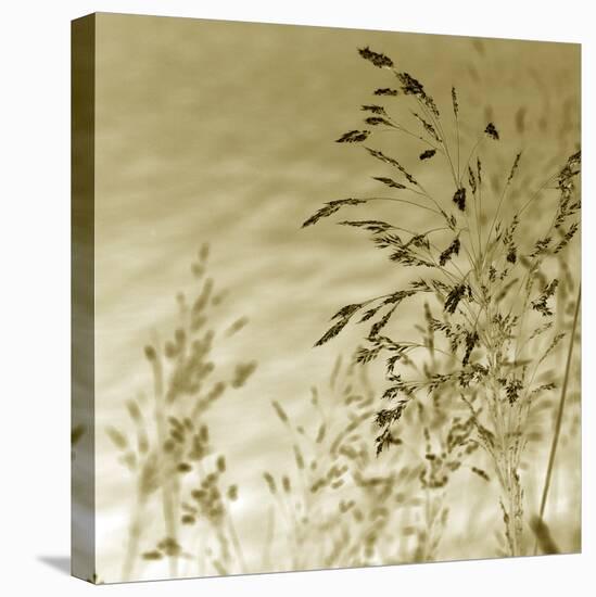 Patmos Organics II-Tony Koukos-Stretched Canvas