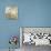 Patmos Organics IV-Tony Koukos-Stretched Canvas displayed on a wall