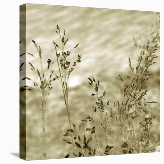 Patmos Organics V-Tony Koukos-Stretched Canvas