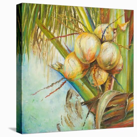 Patricia's Coconuts II-Patricia Pinto-Stretched Canvas