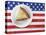 Patriotic apple pie-Fancy-Premier Image Canvas