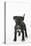 Patterdale Cross Terrier-null-Premier Image Canvas