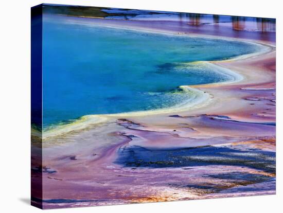 Pattern in Bacterial Mat, Midway Geyser Basin, Yellowstone National Park, Wyoming, USA-Adam Jones-Premier Image Canvas