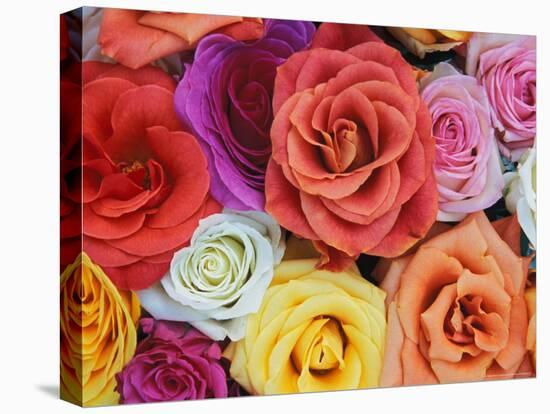 Pattern in Basket of Roses, Louisville, Kentucky, USA-Adam Jones-Premier Image Canvas