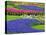 Pattern of Grape Hyacinth, Keukenhof Gardens, Lisse, Netherlands-Adam Jones-Premier Image Canvas