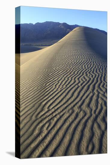 Patterns Along the Sand Dunes, Mesquite Dunes, Death Valley NP-James White-Premier Image Canvas