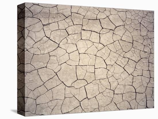 Patterns in Mud Cracks in Drought Area-James Gritz-Premier Image Canvas