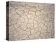 Patterns in Mud Cracks in Drought Area-James Gritz-Premier Image Canvas