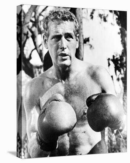 Paul Newman, Cool Hand Luke (1967)-null-Stretched Canvas