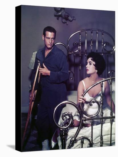 Paul Newman; Elizabeth Taylor. "Cat on a Hot Tin Roof" [1958], Directed by Richard Brooks.-null-Premier Image Canvas