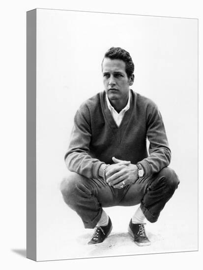 Paul Newman-null-Premier Image Canvas