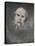 'Paul Verlaine', c.1891, (1946)-Eugene Carriere-Premier Image Canvas