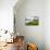 Pauley Island I-Alan Hausenflock-Premier Image Canvas displayed on a wall
