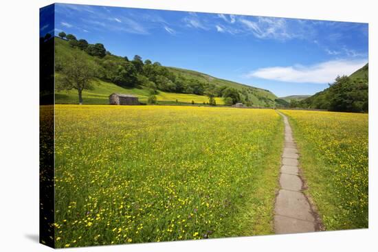 Paved Footpath across Buttercup Meadows at Muker-Mark Sunderland-Premier Image Canvas