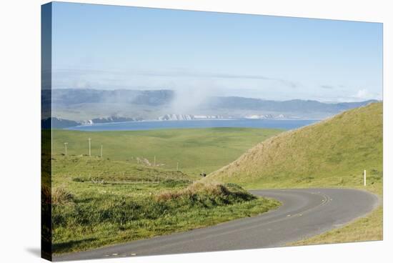 Paved Roads Snaking Through The Point Reyes Seashore Farmland In Northern California-Shea Evans-Stretched Canvas