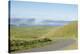 Paved Roads Snaking Through The Point Reyes Seashore Farmland In Northern California-Shea Evans-Stretched Canvas