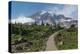 Paved section of Skyline Trail. Paradise wildflower meadows Mount Rainier National Park-Alan Majchrowicz-Premier Image Canvas