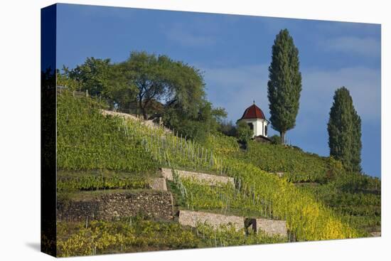 Pavilion at the Spitzhaus Above the Vineyards in Radebeul Near Dresden-Uwe Steffens-Premier Image Canvas