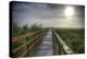 Paynes Prairie State Preserve, Florida: a View of the Prairie During Sunrise-Brad Beck-Premier Image Canvas