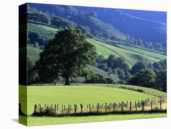 Pays Basques Countryside-Owen Franken-Premier Image Canvas