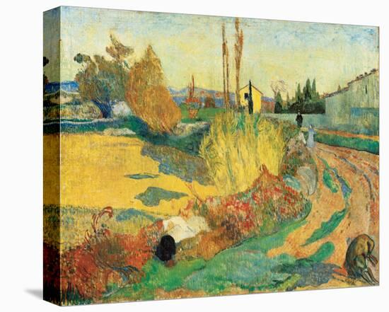 Paysage a Arles, 1888-Paul Gauguin-Stretched Canvas