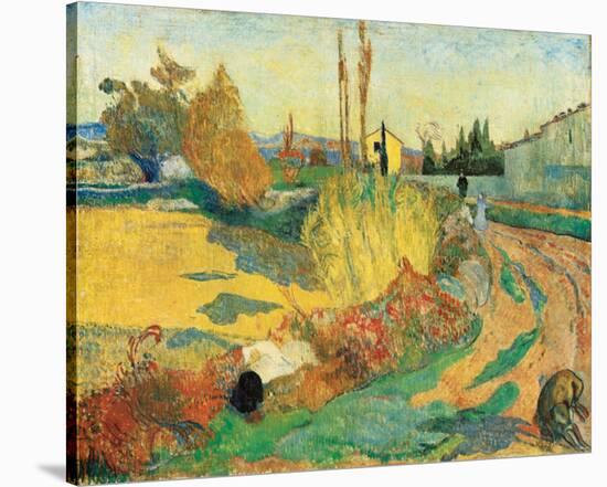 Paysage a Arles, 1888-Paul Gauguin-Stretched Canvas