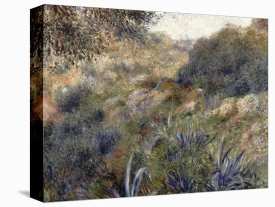 Paysage algérien, le ravin de la Femme Sauvage (faubourg d'Alger)-Pierre-Auguste Renoir-Premier Image Canvas