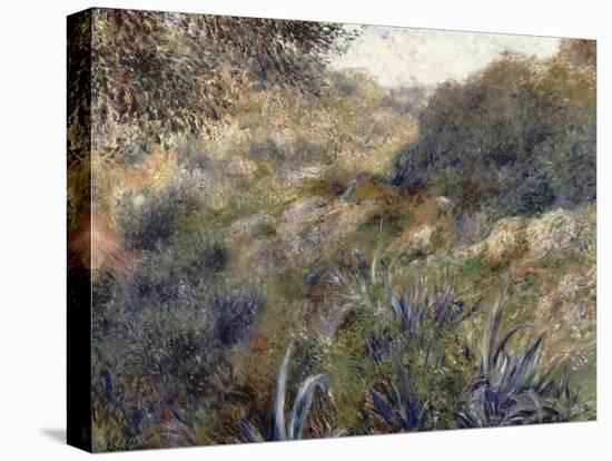 Paysage algérien, le ravin de la Femme Sauvage (faubourg d'Alger)-Pierre-Auguste Renoir-Premier Image Canvas