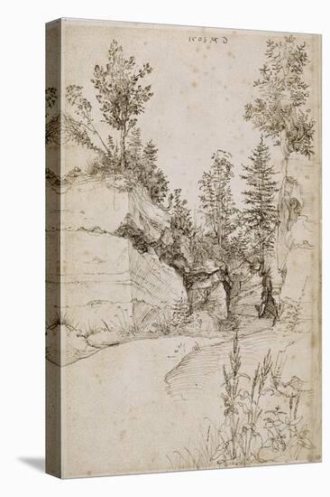 Paysage ; route bordée de rochers abrupts et d'arbres près de Nuremberg-Albrecht Dürer-Premier Image Canvas