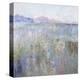 Paysage Thirteen-Jane Schmidt-Stretched Canvas
