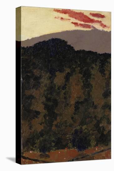 Paysage-Edouard Vuillard-Premier Image Canvas