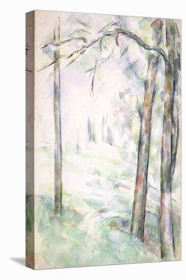 Pd.6-1966R the Woods, Aix-En-Provence, C.1890-Paul Cézanne-Premier Image Canvas