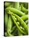 Pea Pods, One Open-Greg Elms-Premier Image Canvas