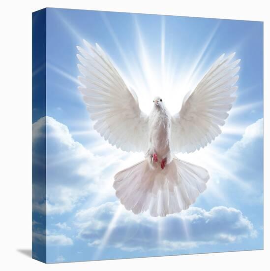 Peace Dove in-Front Of The Sun-null-Stretched Canvas