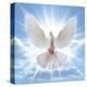 Peace Dove in-Front Of The Sun-null-Stretched Canvas