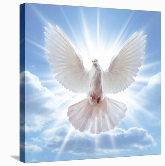 Peace Dove in-Front Of The Sun-null-Stretched Canvas