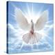 Peace Dove in-Front Of The Sun-null-Stretched Canvas