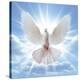 Peace Dove in-Front Of The Sun-null-Stretched Canvas