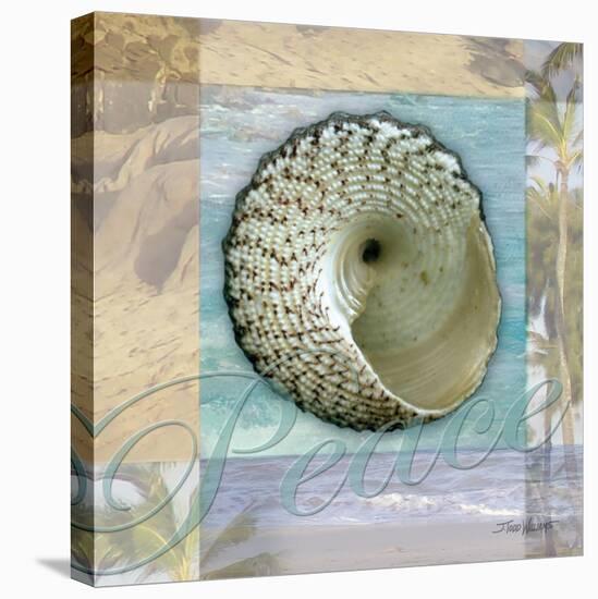 Peace Shell-Todd Williams-Stretched Canvas