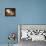 Peaceable Kingdom-Edward Hicks-Premier Image Canvas displayed on a wall