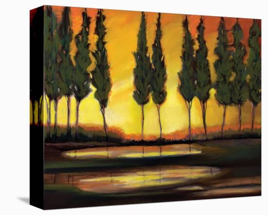 Peaceful California Trees-Judith D'Agostino-Stretched Canvas