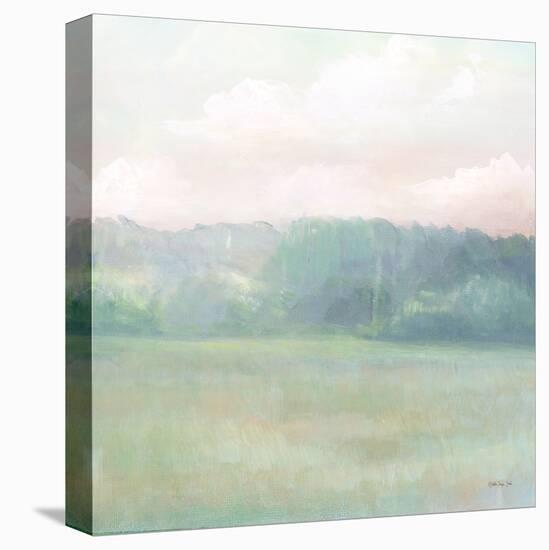 Peaceful Calm 2-Stellar Design Studio-Stretched Canvas