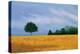 Peaceful Field-Herb Dickinson-Premier Image Canvas