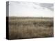 Peaceful Meadow-Nicole Katano-Stretched Canvas